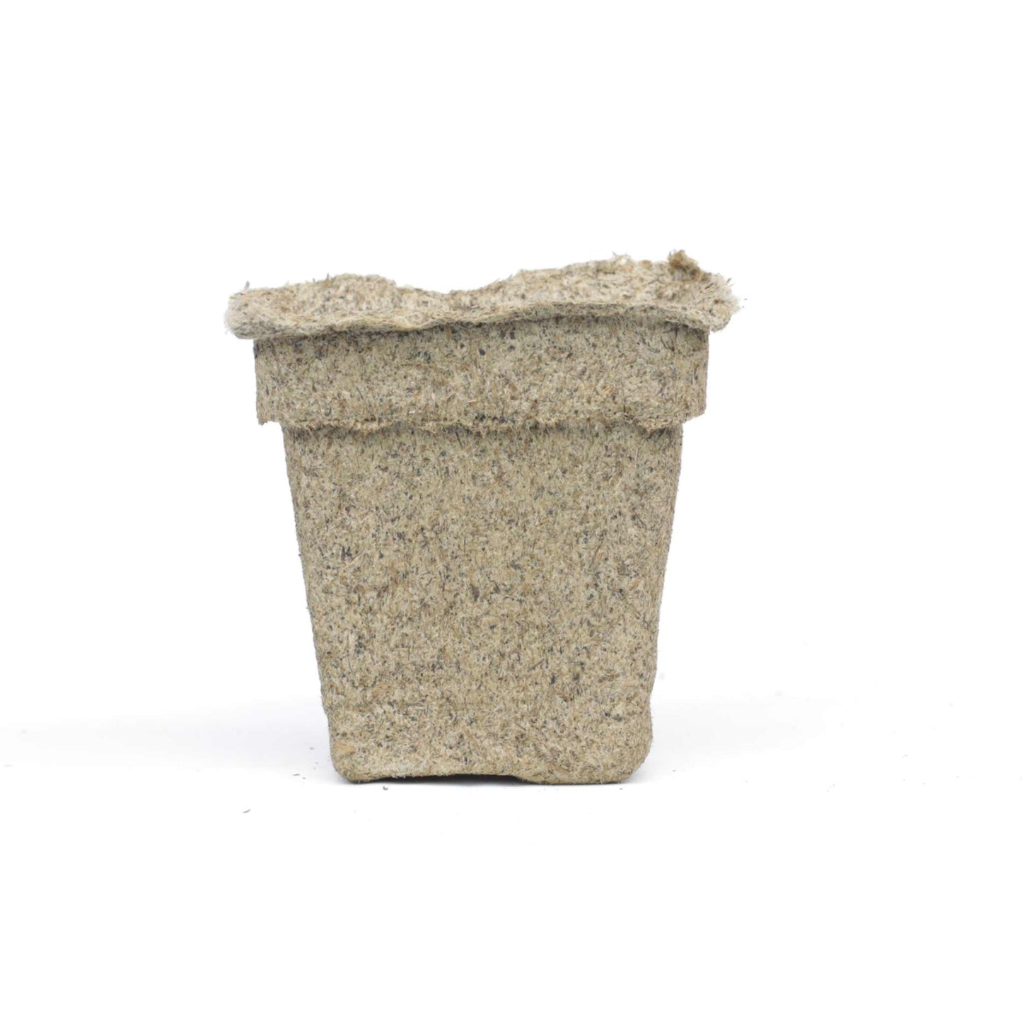 Six CowPots® #3 Square seed starting pots by Bootstrap Farmer, made of biodegradable material, arranged in a tray.
