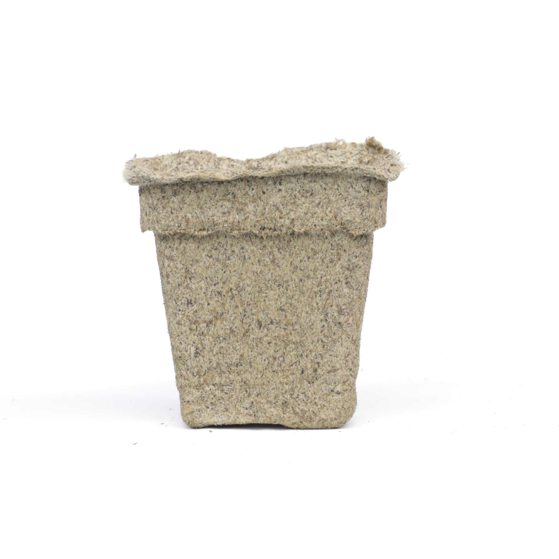 Six CowPots® #3 Square seed starting pots by Bootstrap Farmer, made of biodegradable material, arranged in a tray.