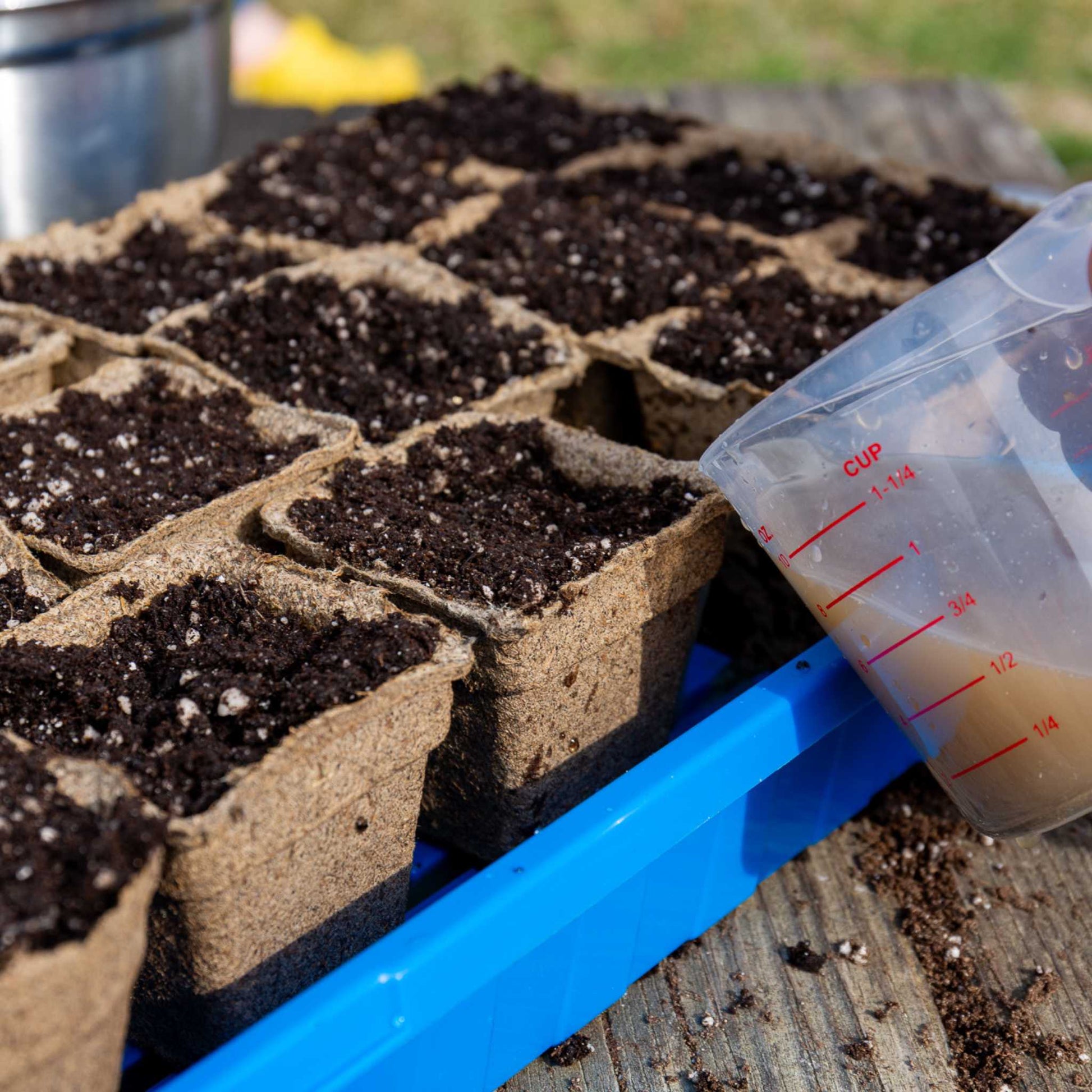 Bootstrap Farmer CowPots® #3 Square biodegradable planting pots arranged in a container, designed for sustainable seed starting.