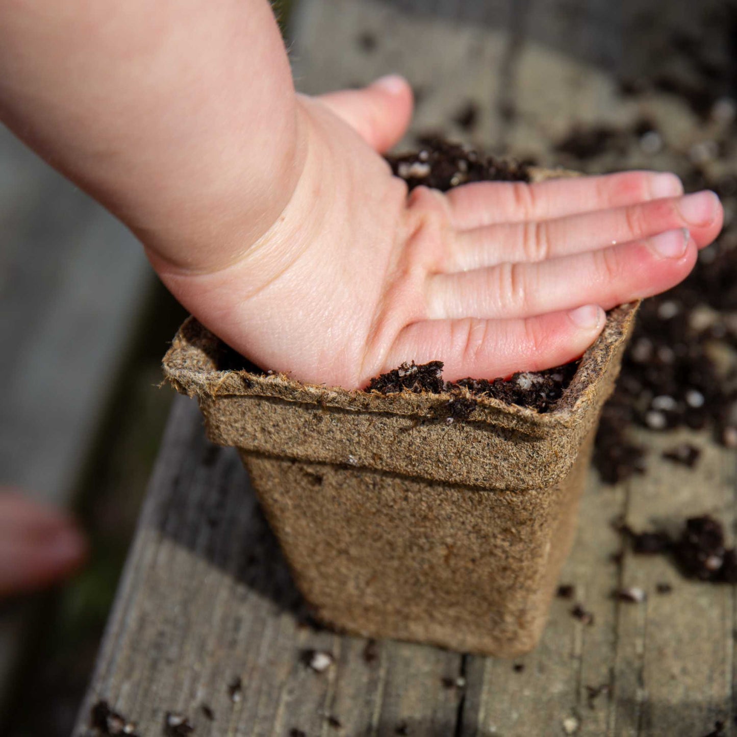 Set of six CowPots® #3 Square biodegradable planting pots by Bootstrap Farmer, stacked with visible square shape and natural brown color.