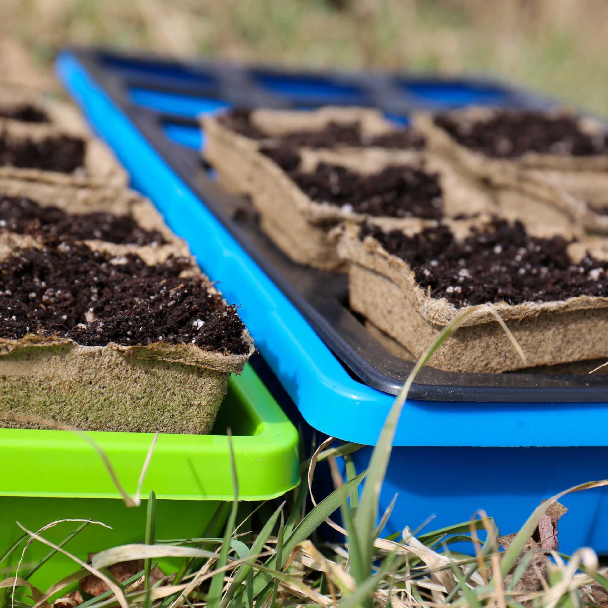 Bootstrap Farmer CowPots® #3 Square biodegradable plant pots arranged in a grid for seedlings and small plants.