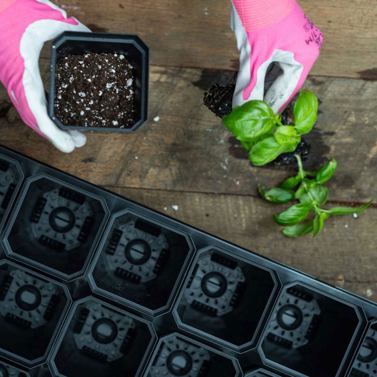 3.3" Heavy Duty Seed Starting Pots - Blessings Grow Meadows