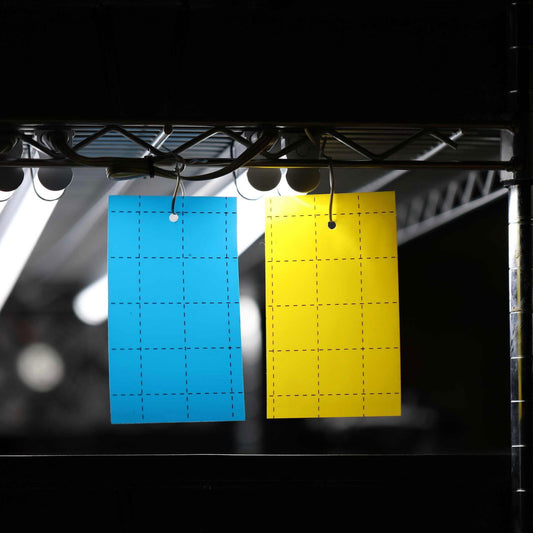 Pest Control Sticky Trap Cards - Blessings Grow Meadows -