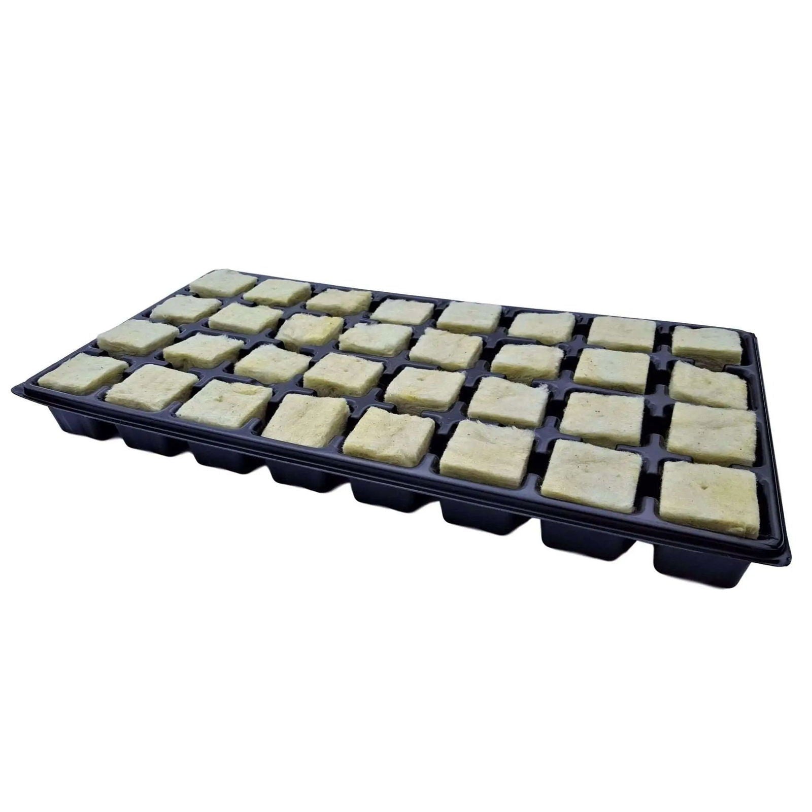 Bootstrap Farmer 32-cell seed starter tray, durable plastic propagation tray for seedlings and gardening projects.