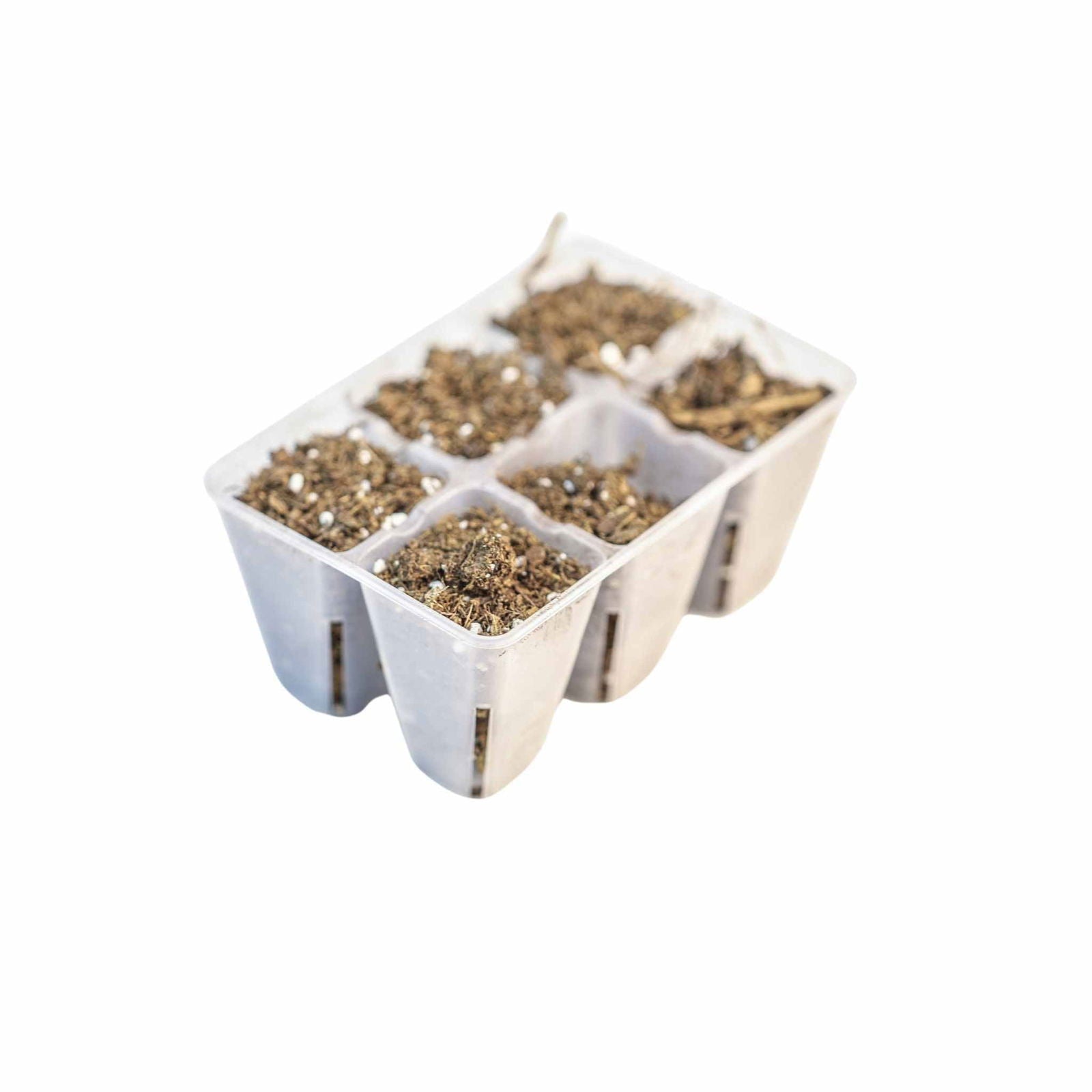 Bootstrap Farmer 6-cell plug tray inserts in various colors, ideal for seed starting and plant propagation.