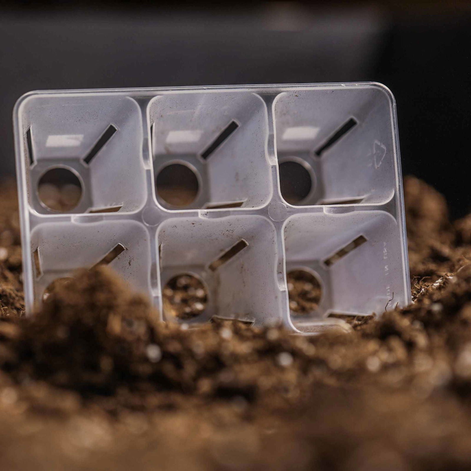 Six black Bootstrap Farmer 6-cell plug tray inserts for seed starting and propagation, arranged in a pack.