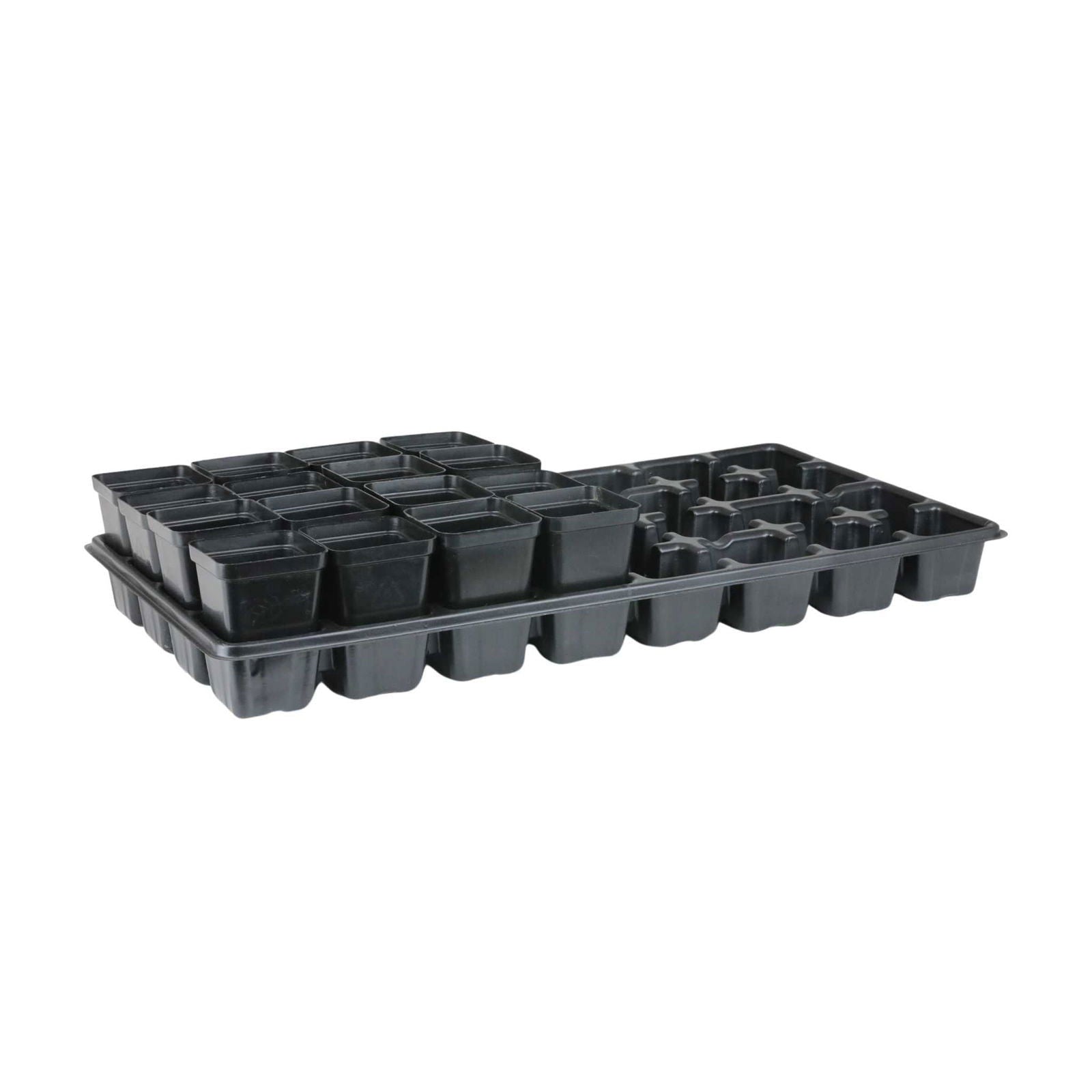 Plastic seedling tray with multiple small square pots showing a dark gray color and textured surface details
