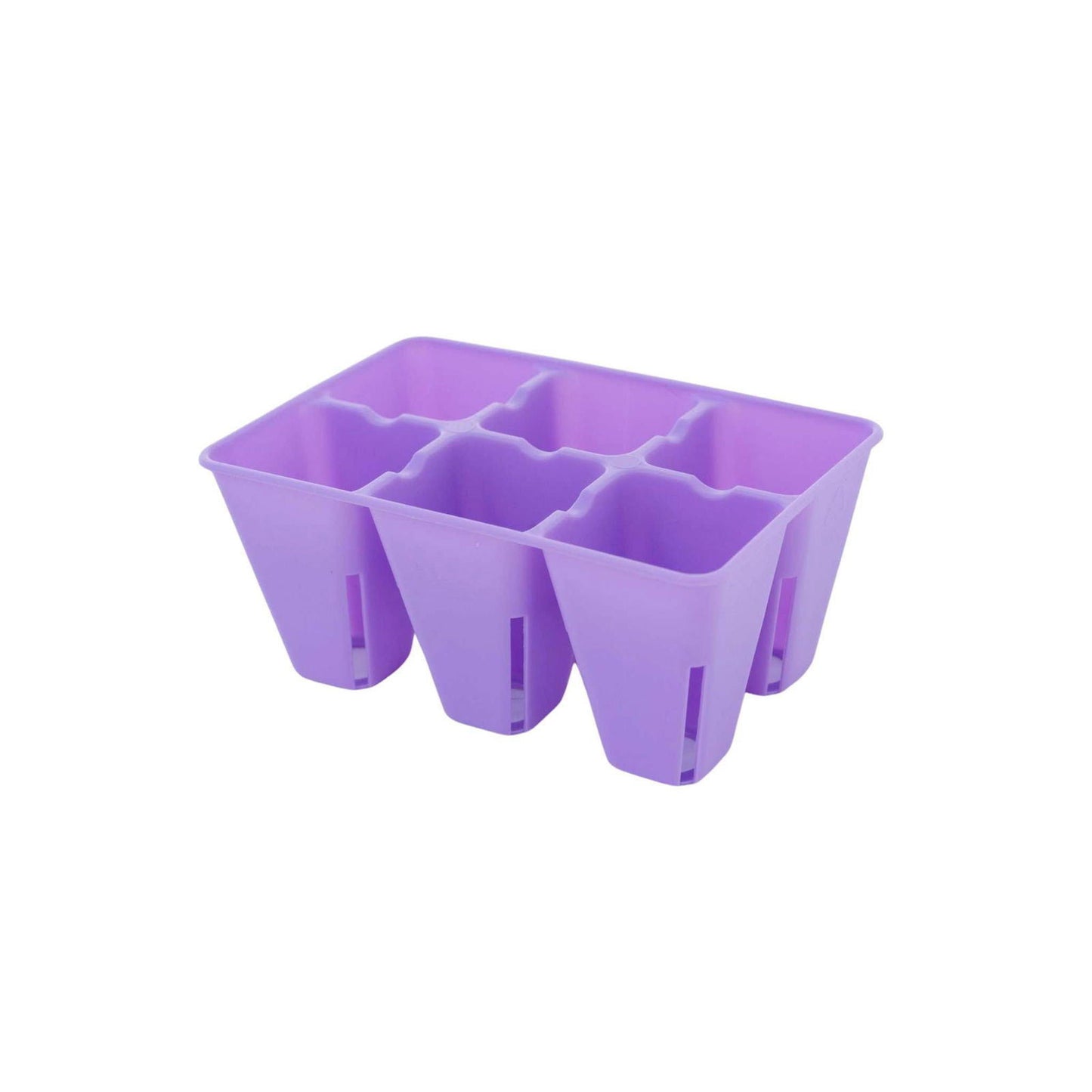 The Bootstrap Farmer 6 Cell Plug Tray Inserts Colors is a purple plastic seedling tray with six square compartments, ideal for planting seeds or small plants, shown on a white background.