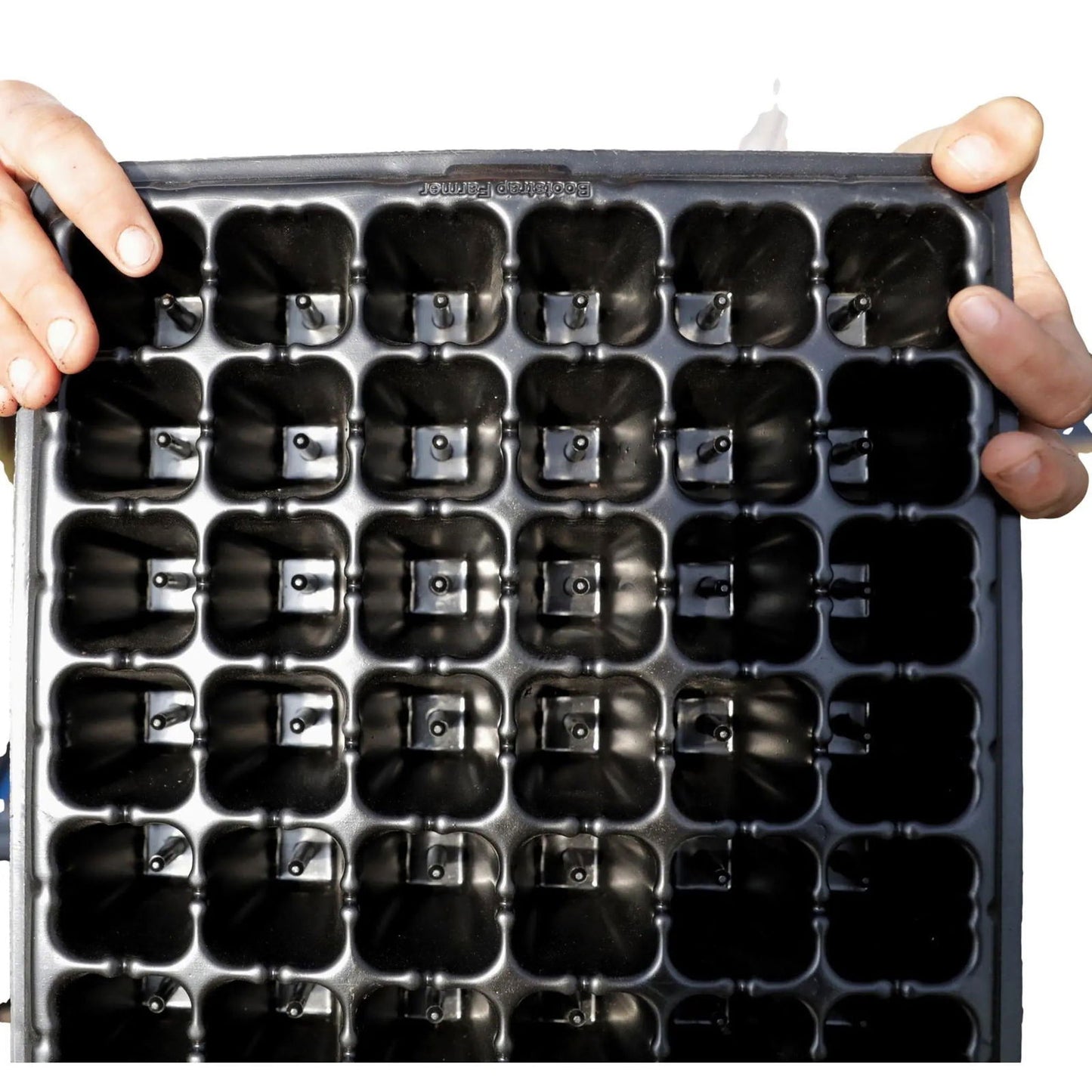 A person holds a black plastic cell tray, ready to use the Bootstrap Farmer Plug Popper for Cell Trays—an easy tool for removing seedlings. Their hands grip the top corners of the empty square-celled tray, preparing for transplanting.
