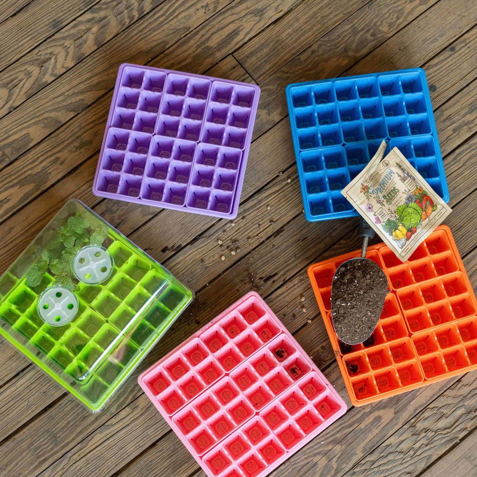 The Bootstrap Farmer Seed Starting Workshop Bundle includes five colorful silicone seed starter trays, a garden trowel with soil, seed packets, and scattered seeds—ideal for gardening clubs or a seed starting workshop.