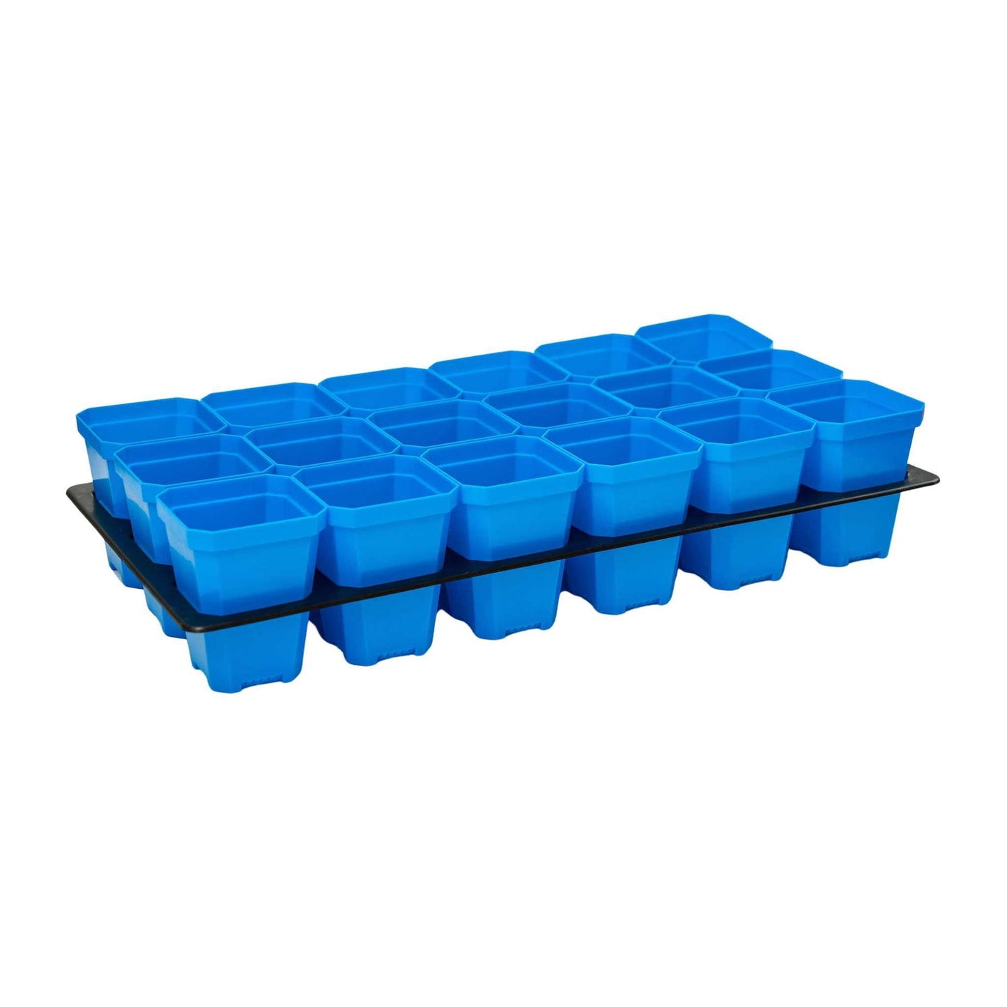 Multicolor Bootstrap Farmer 3.3" heavy-duty seed starting cell trays with 36 pots and inserts for young plant growth.