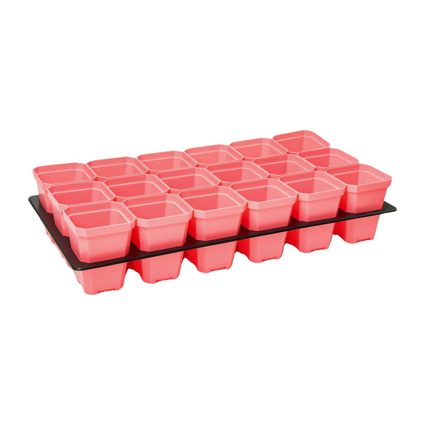 Bootstrap Farmer 3.3-inch heavy-duty seed starting pots with inserts in colorful cell trays for efficient plant propagation.