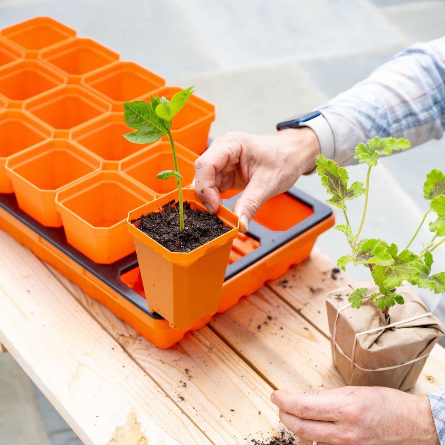 Multicolor Bootstrap Farmer 3.3-inch heavy-duty seed starting pots with inserts in a cell tray for gardening.