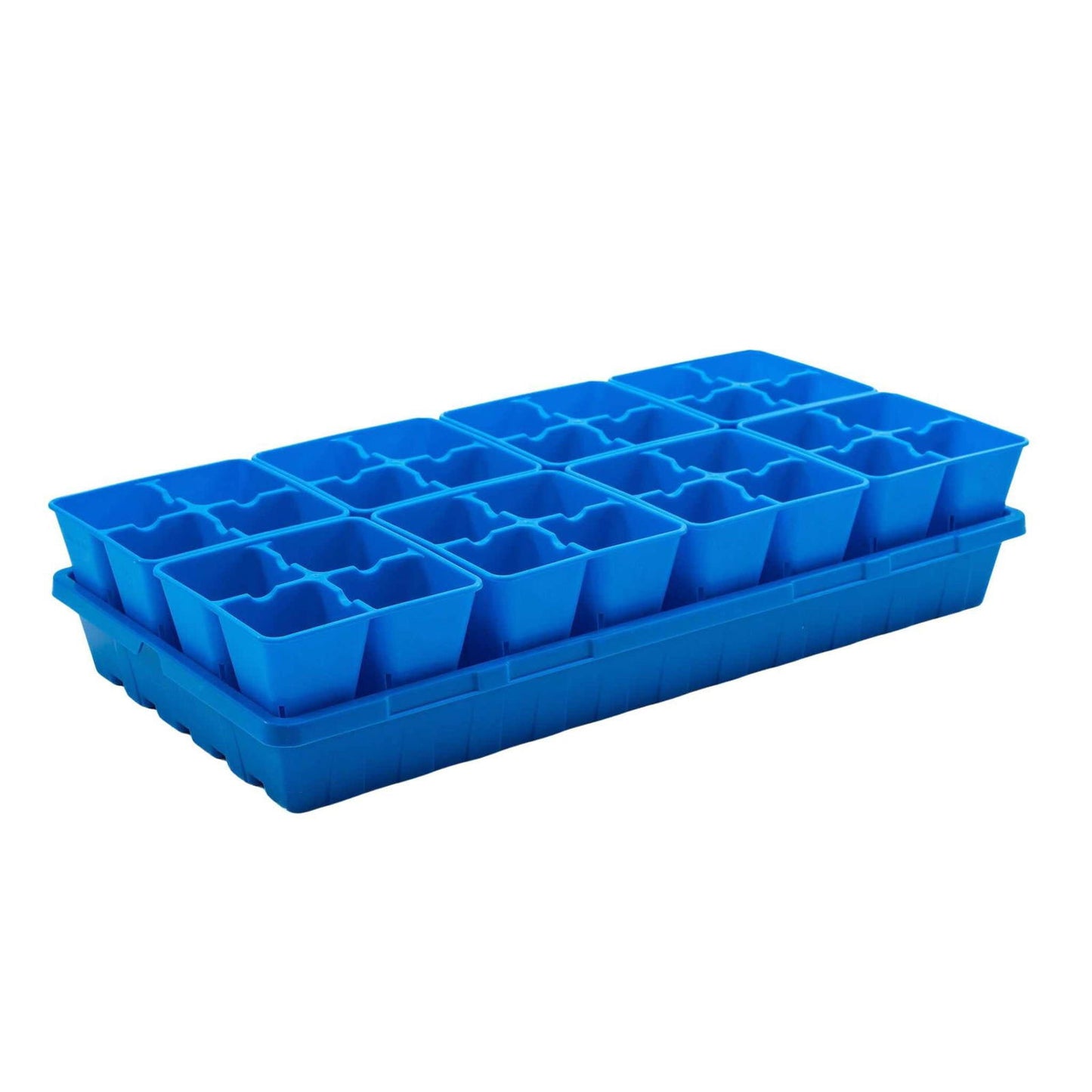 Plastic seedling tray showing sixteen vibrant blue individual cells a rectangular shape and a smooth surface
