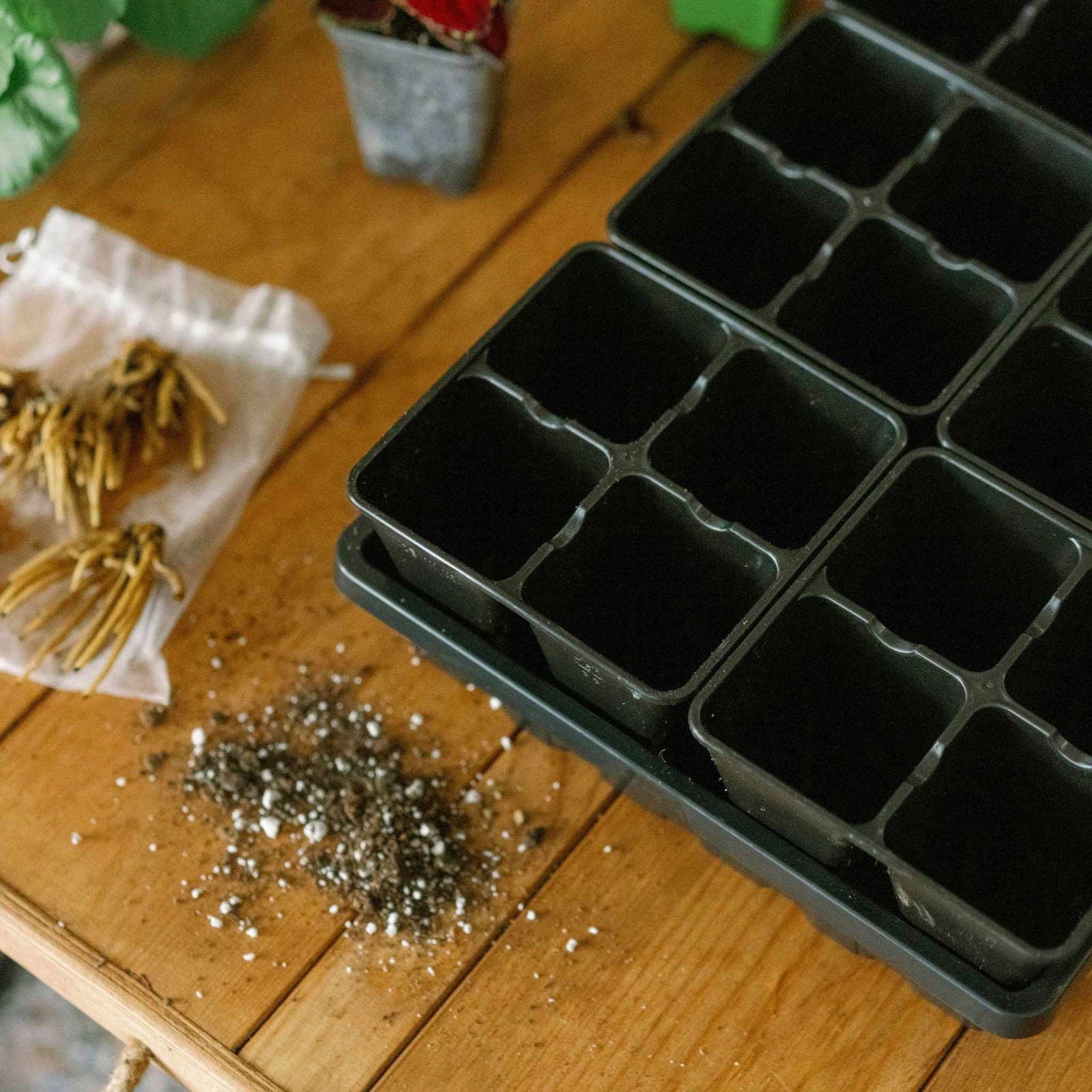 A Bootstrap Farmer 4 Cell Plug Tray Insert with empty black cells sits on a wooden table near soil, dry plant roots in a mesh bag, and a potted plant—ideal for air prune plug inserts.