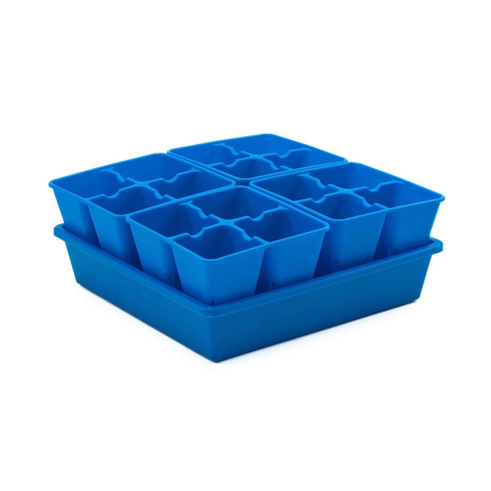Plastic blue seed starter tray with eight individual compartments showing vibrant color and a square shape against a white background
