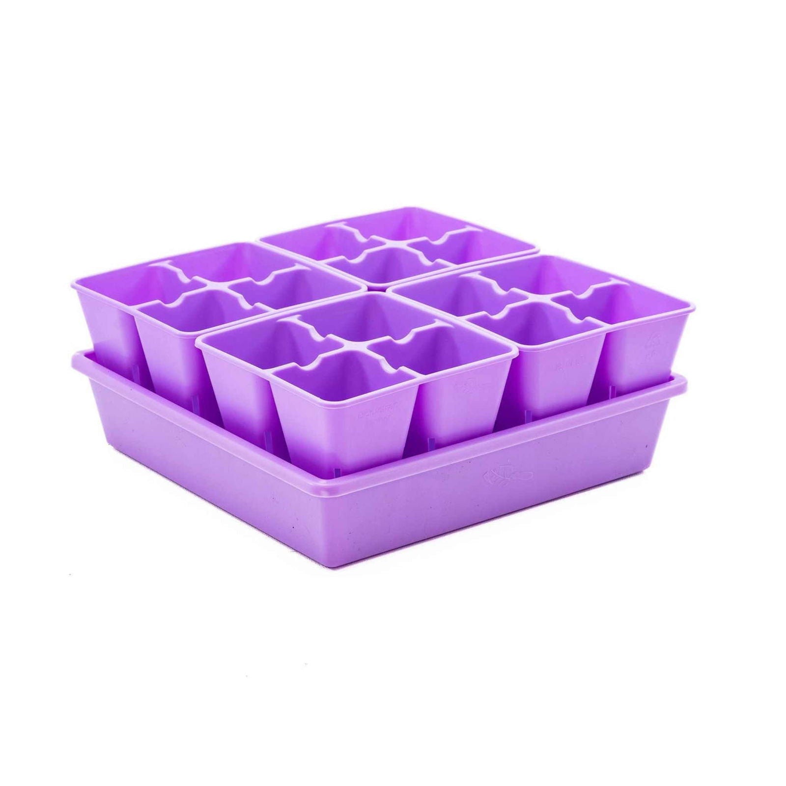 Plastic lavender-colored six-cell seed starter tray with individual compartments showing a vibrant hue and textured surface on a white background
