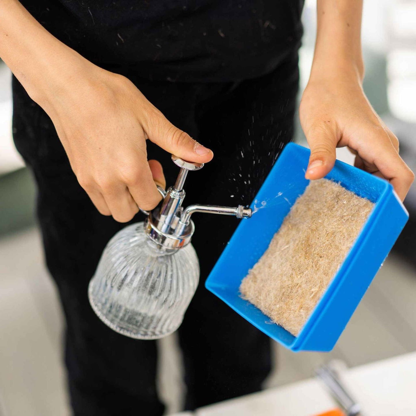 Photo showing hands using a glass and chrome spray bottle to moisten a light brown fiber material in a bright blue tray
