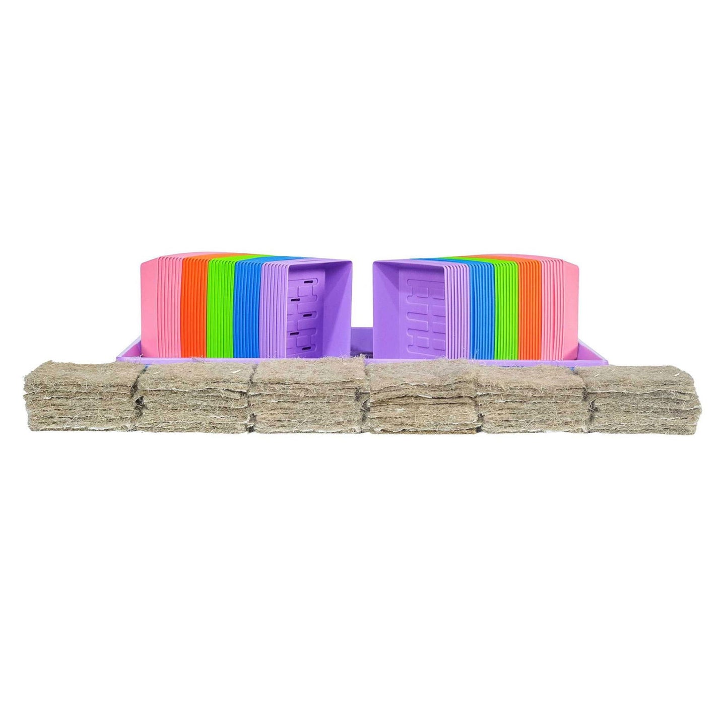 Classroom Microgreens Bundle - Blessings Grow Meadows -