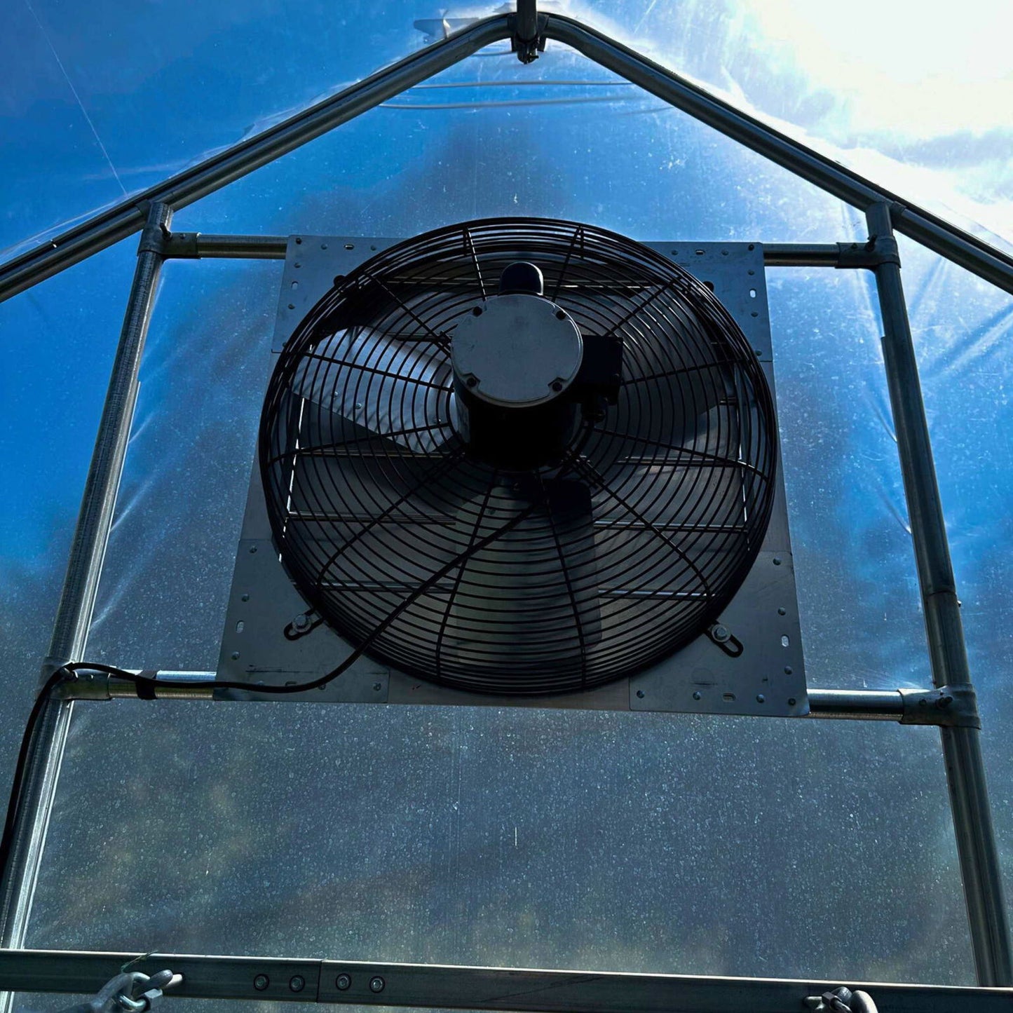 A Bootstrap Farmer Greenhouse Shutter Mount Exhaust Fan is installed on a metal frame inside a greenhouse, with sunlight streaming through the transparent roof overhead.
