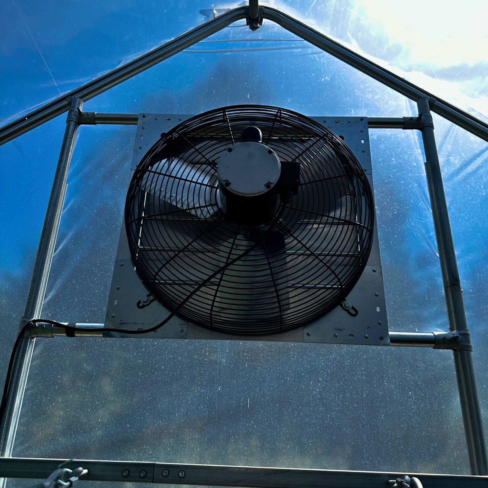 A Bootstrap Farmer Greenhouse Shutter Mount Exhaust Fan is installed on a metal frame inside a greenhouse, with sunlight streaming through the transparent roof overhead.