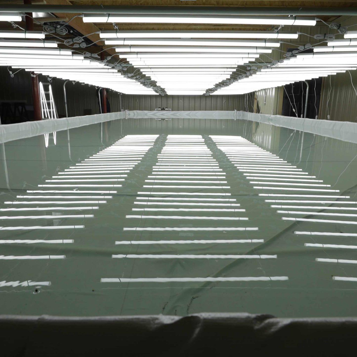 A large rectangular pool filled with water is illuminated by rows of bright ceiling lights, creating parallel reflections. The room, designed for Bootstrap Farmer’s Deep Water Culture (DWC) Kit, has industrial walls contributing to the bright, sterile ambiance.