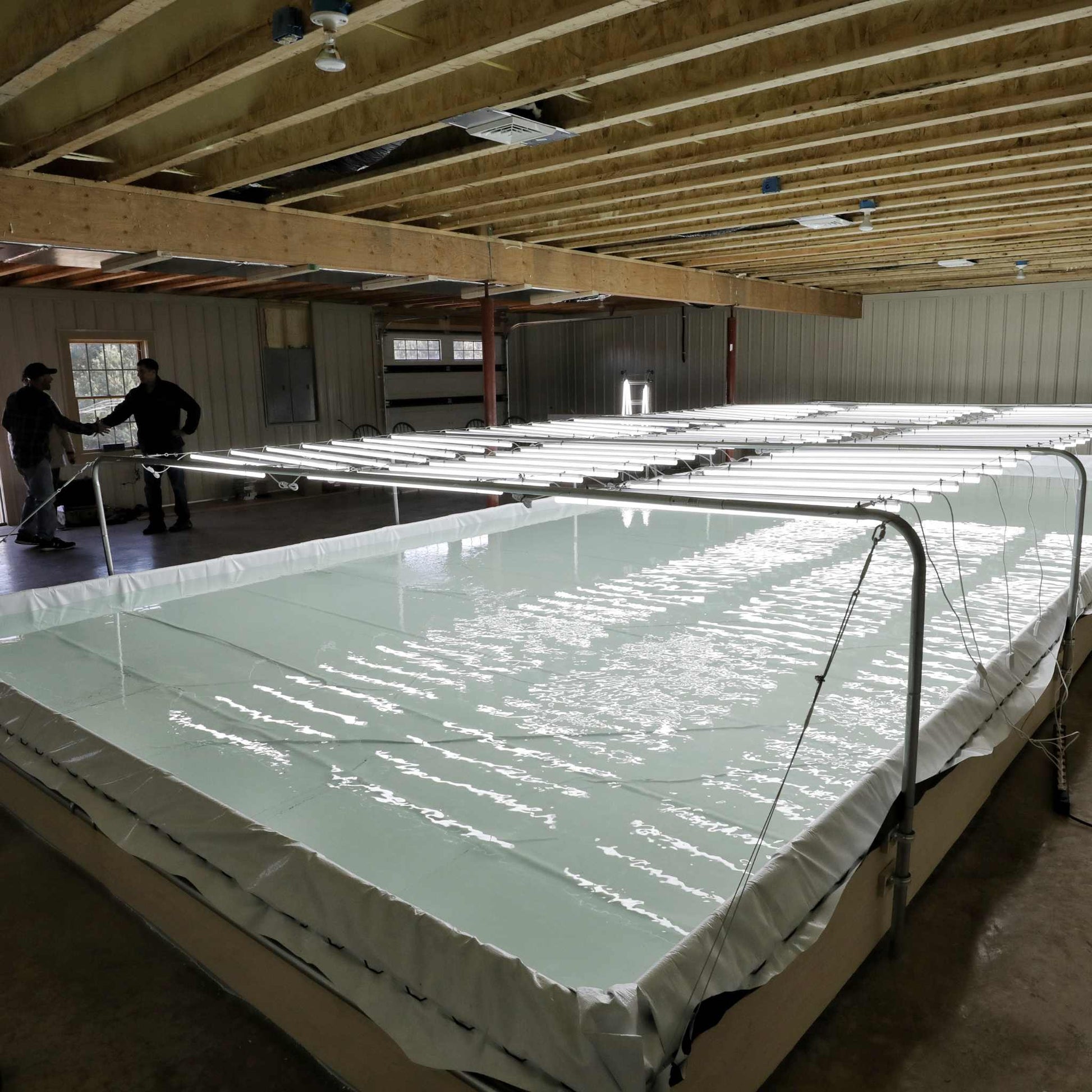 A Bootstrap Farmer Deep Water Culture (DWC) Kit, featuring a customizable modular system, is set up under fluorescent lights in an indoor facility. Two people stand near the tanks enclosed by wood, with an unfinished ceiling of wooden beams reflecting light off the waters surface.