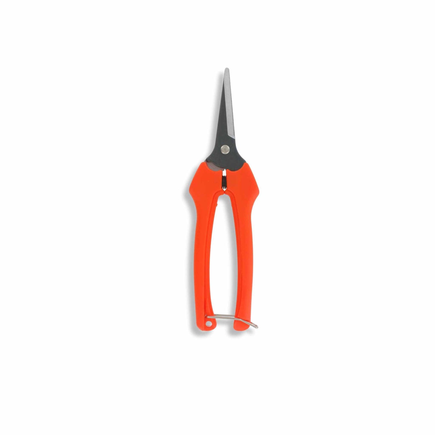 Bootstrap Farmers 185 mm Harvesting Pruning Shears are showcased against a white background, featuring bright orange ergonomic handles and durable silver stainless steel blades.
