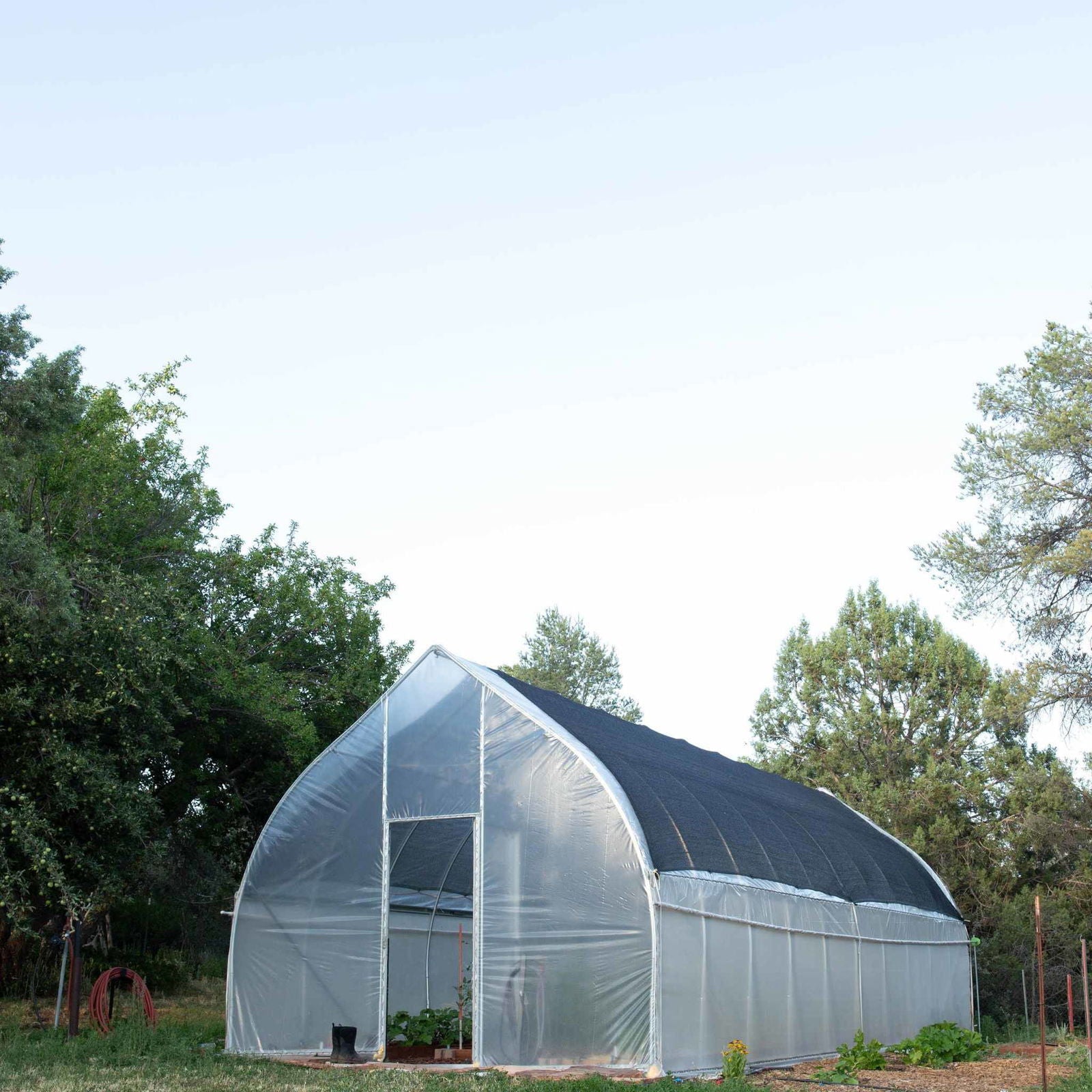 Photograph of a High Tunnel greenhouse in a garden setting surrounded by trees and featuring a translucent plastic covering, a dark shade cloth roof, and small plants inside.
