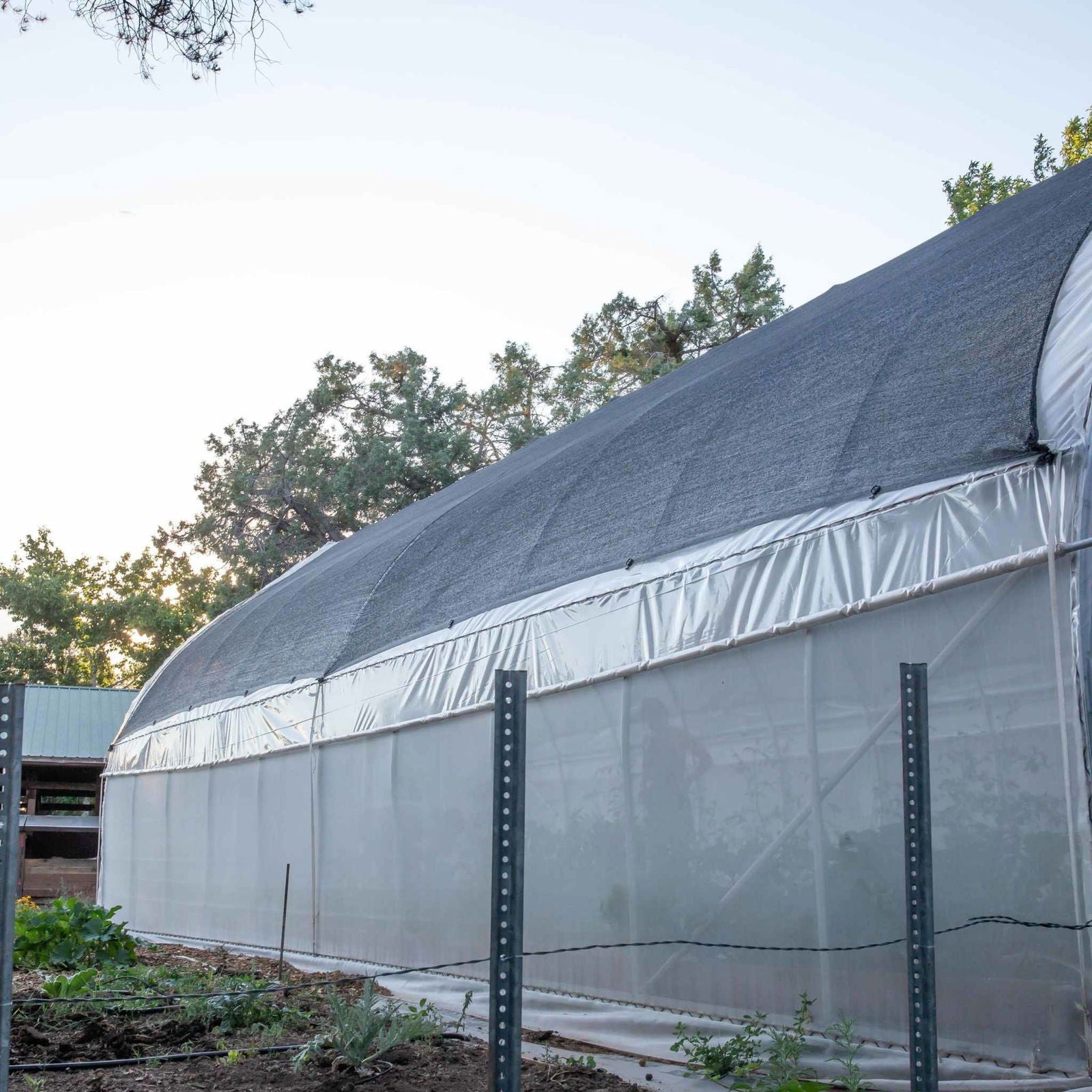 Photograph of a large, high-tunnel greenhouse with a dark gray shade cloth roof, clear plastic walls, and metal support posts, situated amongst green trees and a small garden with dark soil.
