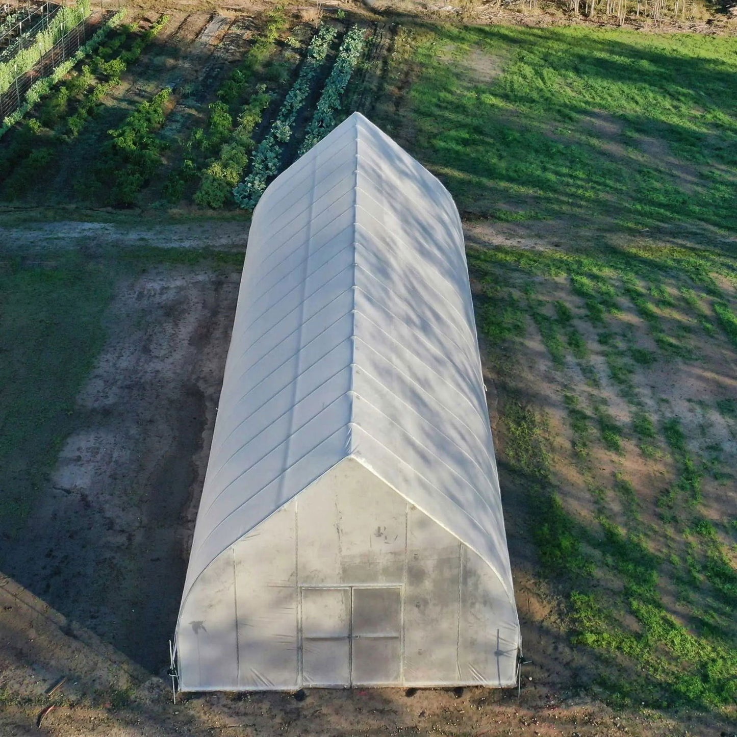 Aerial view of a white plastic greenhouse on a farm with rows of leafy greens and a dirt path, showing the greenhouse’s arched roof, a double door, and subtle shadow patterns.
