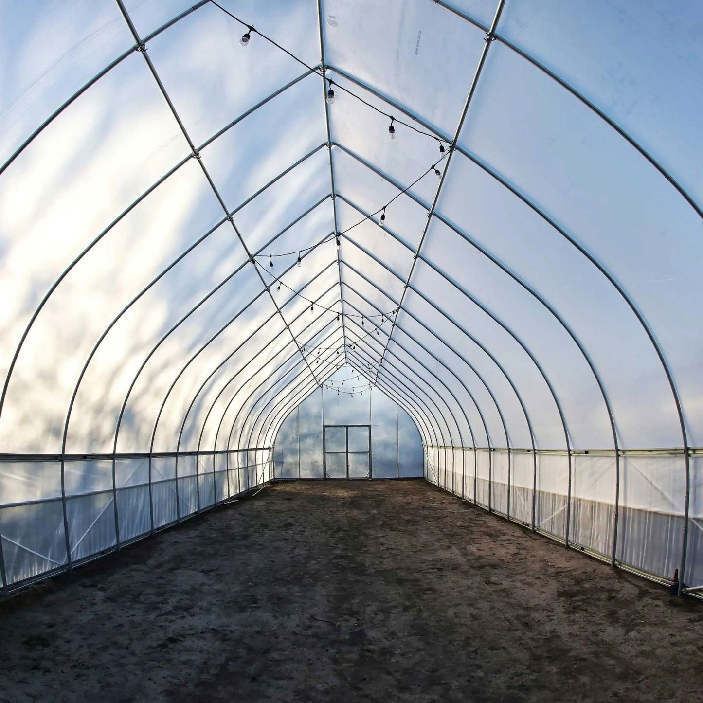 Photograph of a greenhouse interior showing a metal frame, translucent plastic covering, a dirt floor, and string lights hanging from the ceiling