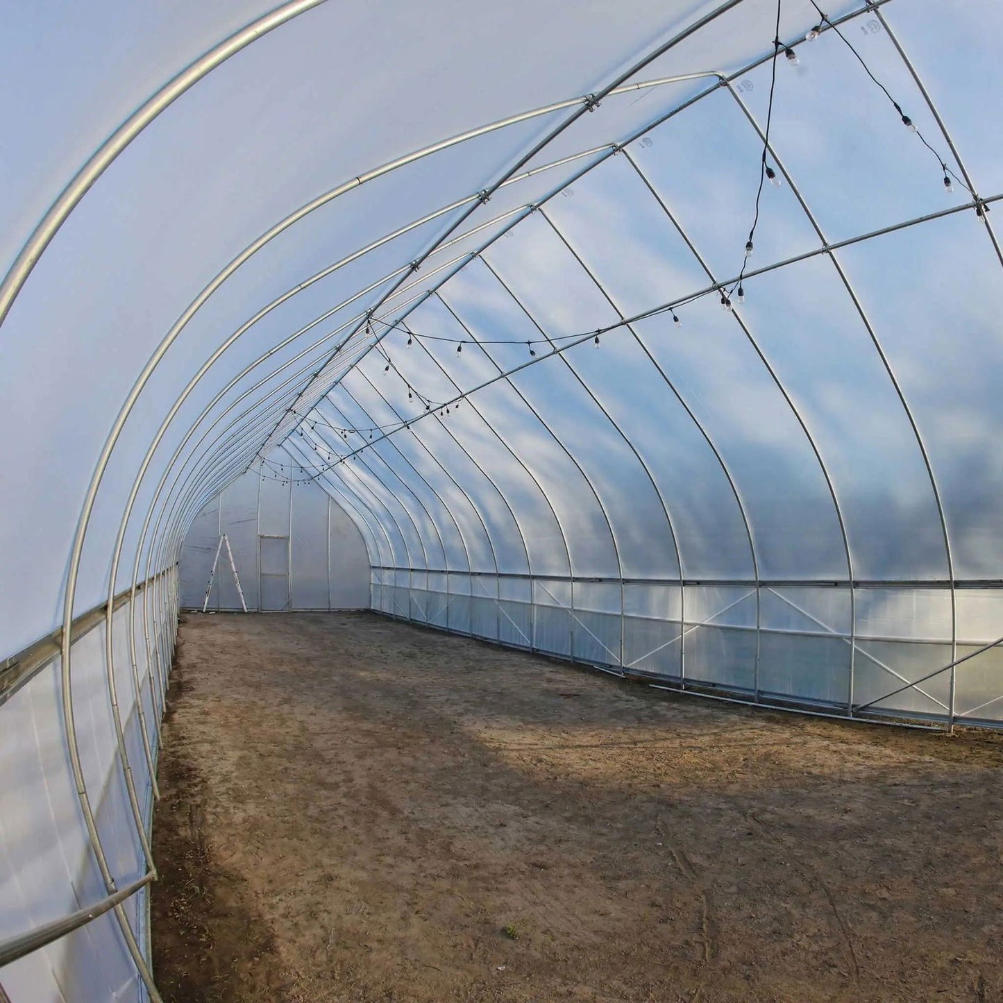 Photograph of an empty high tunnel greenhouse with a dirt floor featuring string lights arched across the ceiling and a ladder near a white door showcasing a simple yet functional design