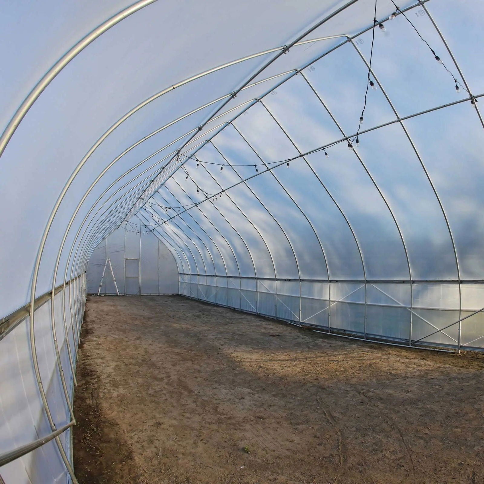 Photograph of an empty high tunnel greenhouse with a dirt floor featuring string lights arched across the ceiling and a ladder near a white door showcasing a simple yet functional design
