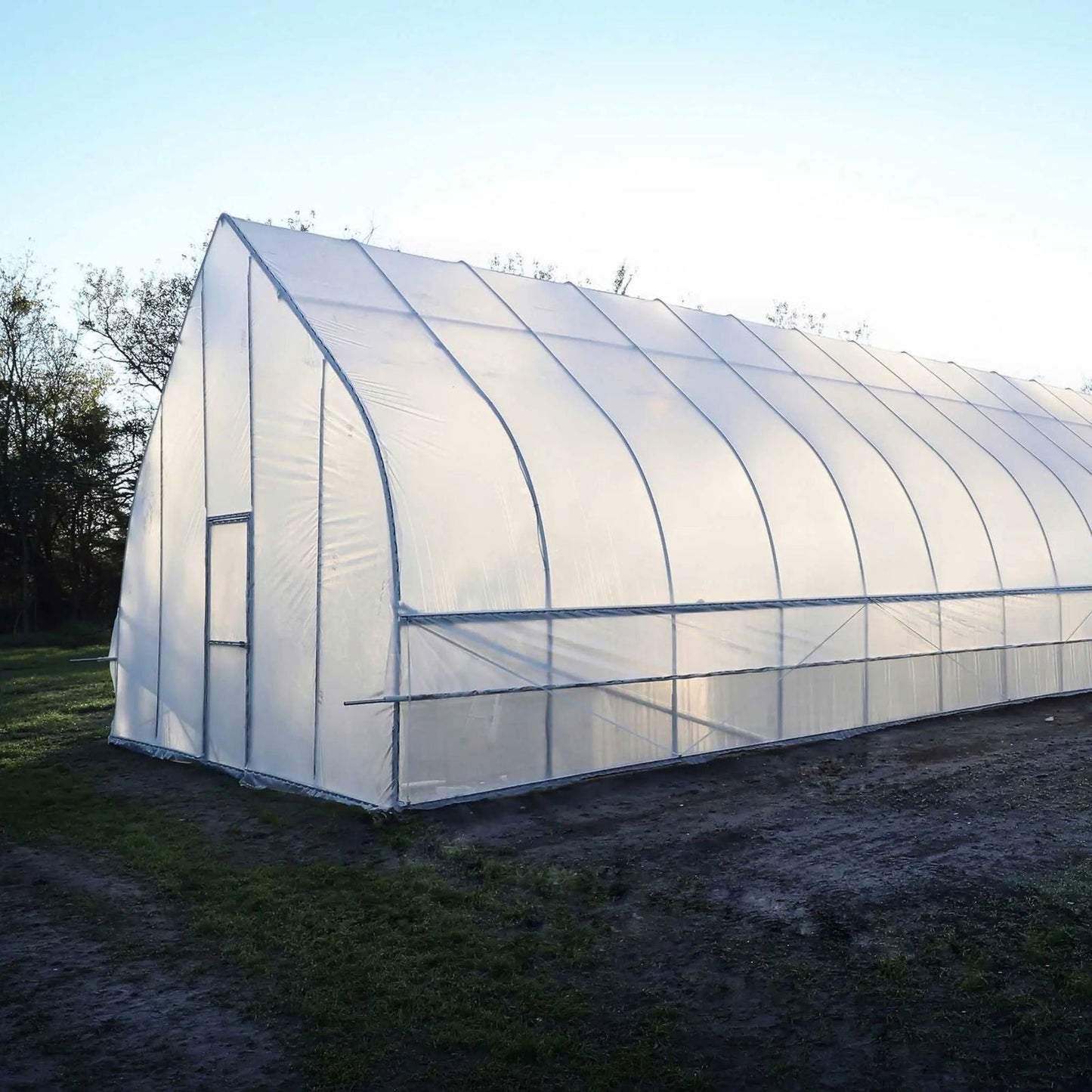Plastic greenhouse in a rural field showing a small door, curved roof panels and subtle shadows cast by the late afternoon sun.

