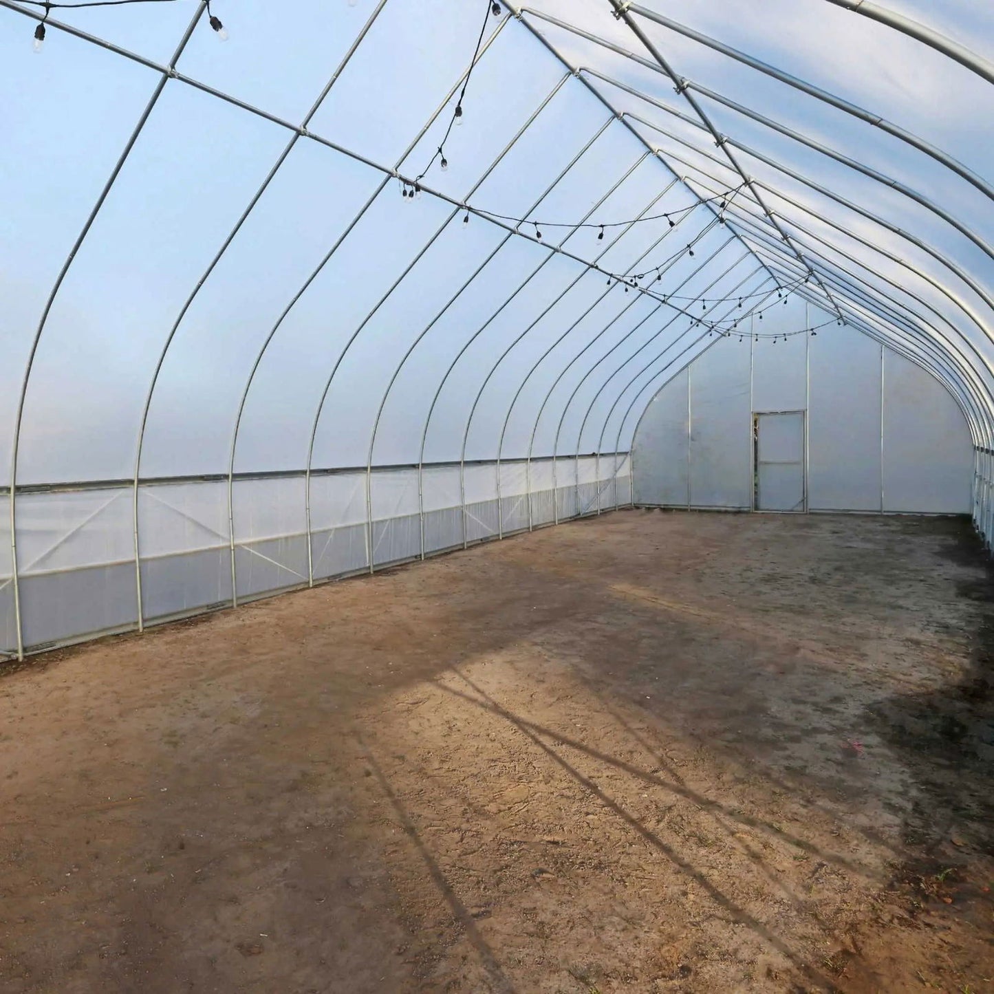 High tunnel greenhouse interior showing a dirt floor, a small door, and string lights hanging from the metal frame, casting long shadows on the ground