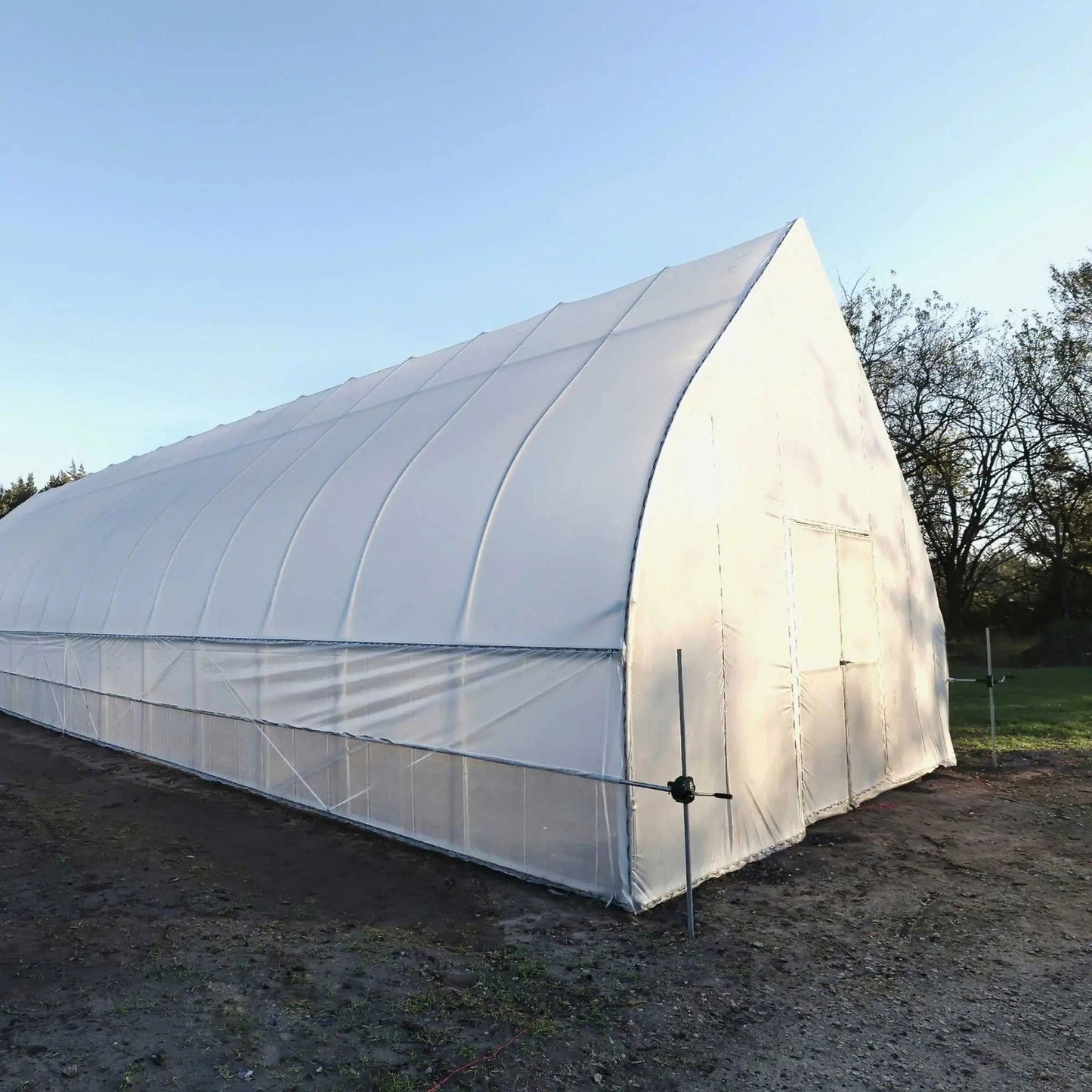 Photograph of a white plastic hoophouse greenhouse in a rural field near bare deciduous trees under a clear blue sky showing its curved roof, side ventilation, and ground anchors