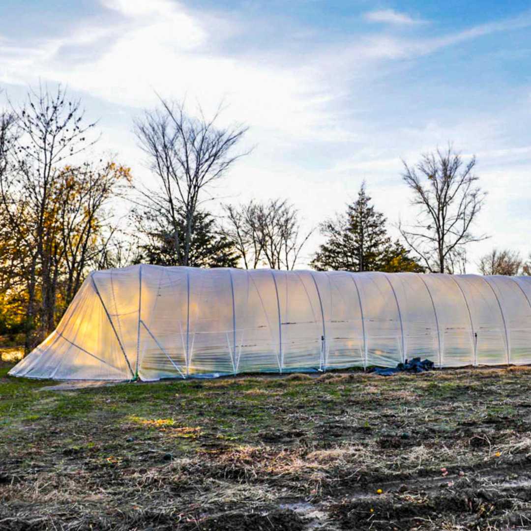 All-metal Caterpillar Tunnel Kit with butterfly doors, green greenhouse kit by Bootstrap Farmer, featuring sturdy structure and transparent panels.