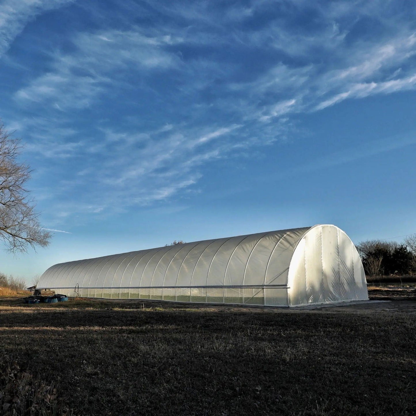 Photograph of a large white high tunnel greenhouse in a rural setting under a vibrant blue sky with wispy clouds, featuring a low-lying tree to the left and showing details like its curved roof, transparent side panels, and a few dark blue containers near its entrance.
