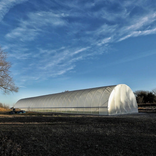 Photograph of a large white high tunnel greenhouse in a rural setting under a vibrant blue sky with wispy clouds, featuring a low-lying tree to the left and showing details like its curved roof, transparent side panels, and a few dark blue containers near its entrance.
