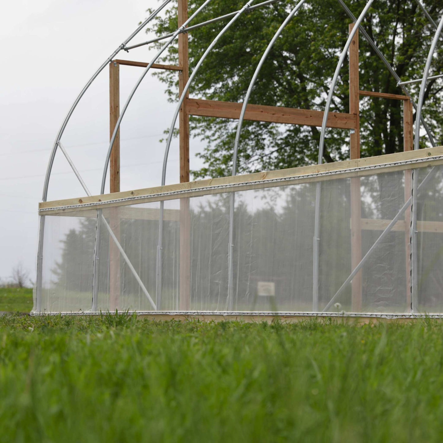 DIY Gothic Greenhouse Kit - Blessings Grow Meadows