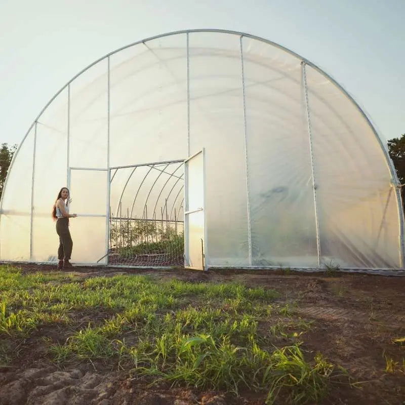 Photograph of a woman standing by a large white plastic hoop greenhouse in a rural field featuring young plants and a partially open metal door with green and brown tones in the late afternoon sun
