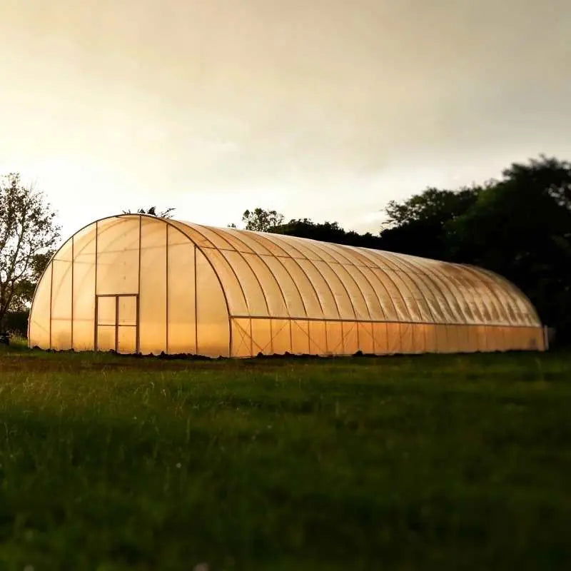 Photograph of a large agricultural greenhouse in a rural setting featuring a central double door and warm sunset light illuminating its translucent plastic panels and a verdant grassy field