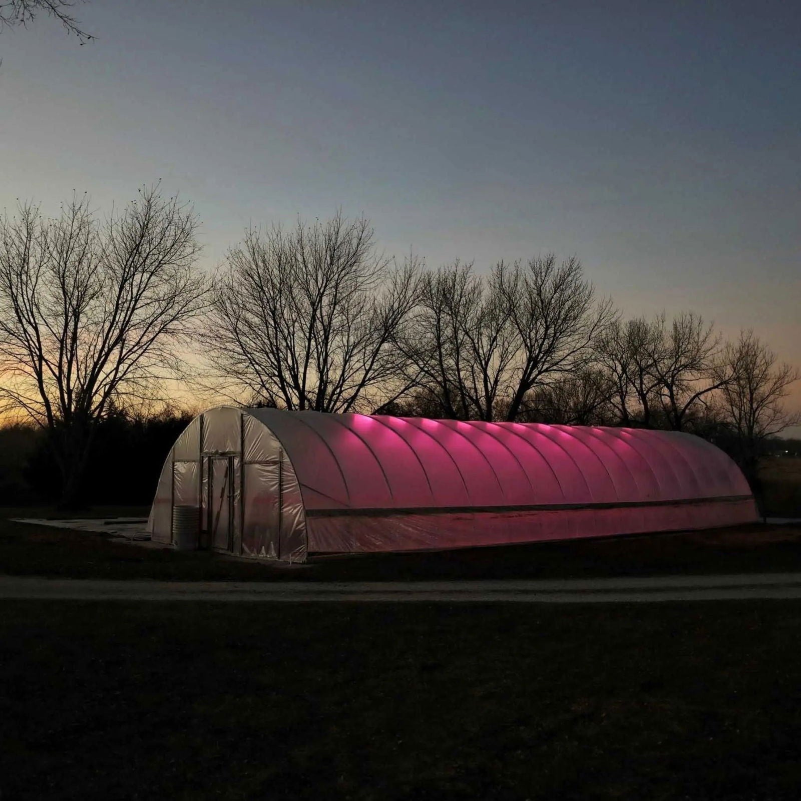 Photograph of a pink-lit greenhouse at dusk featuring bare winter trees and a subtle sunset glow
