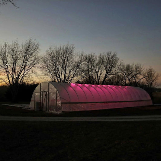 Photograph of a pink-lit greenhouse at dusk featuring bare winter trees and a subtle sunset glow
