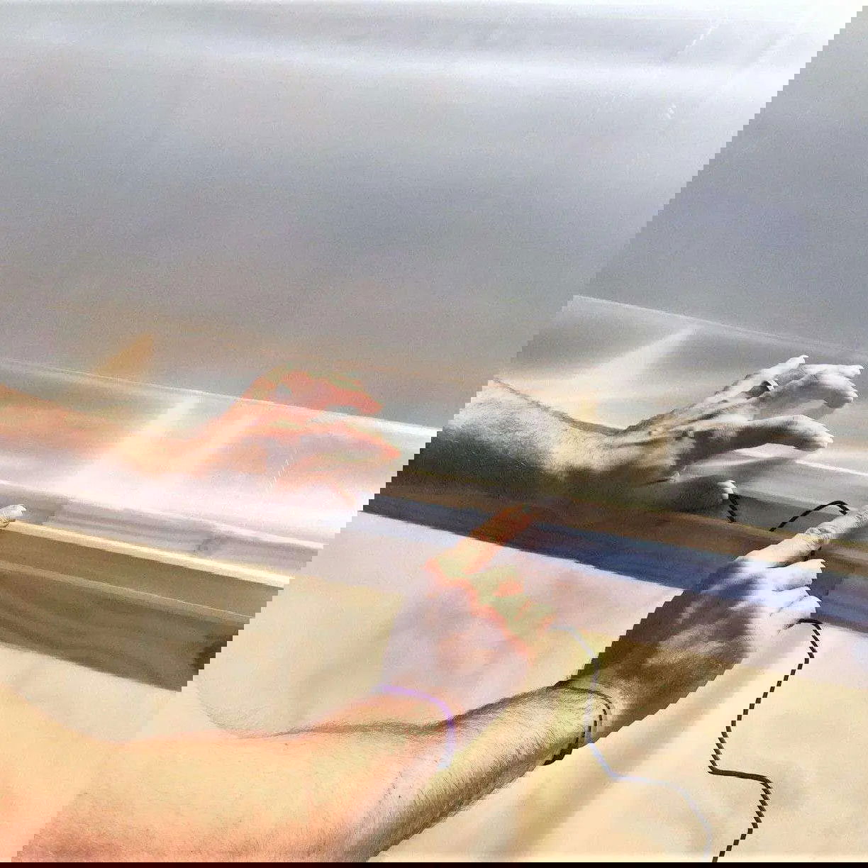 Greenhouse U Channel Lock - Blessings Grow Meadows -