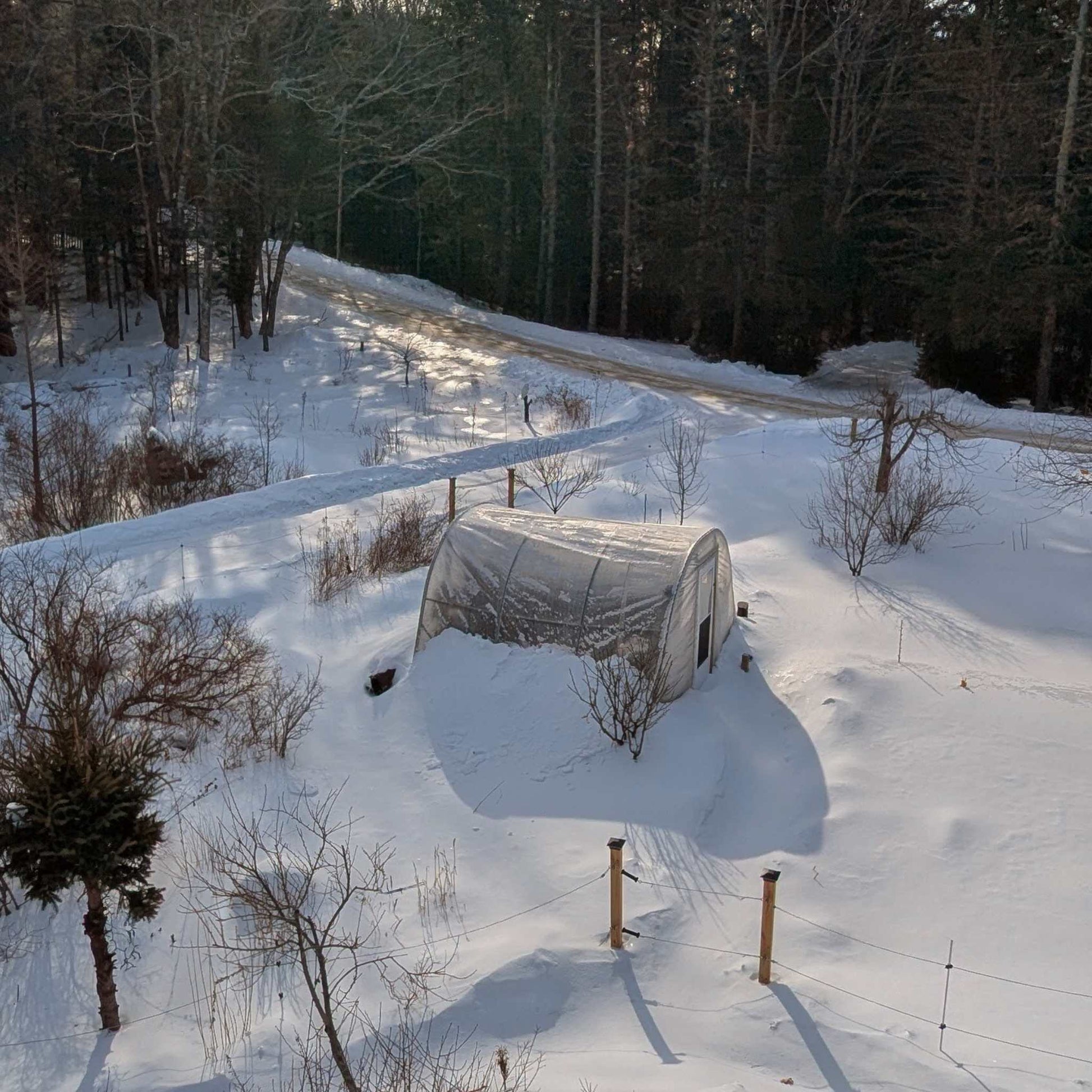 Greenhouse Woven Plastic 8 mil- Solarig 156 - Blessings Grow Meadows