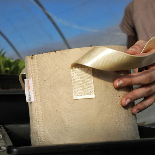 Bootstrap Farmer fabric grow bag in a greenhouse showing a beige fabric texture, off-white strap and soil residue.
