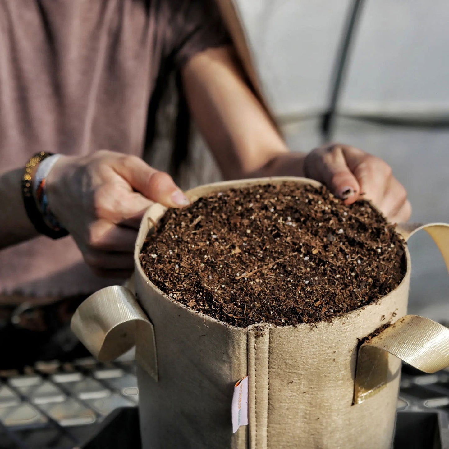 Photograph of a person filling a beige fabric grow bag with dark brown soil in a greenhouse featuring  golden handles and a small orange label.
