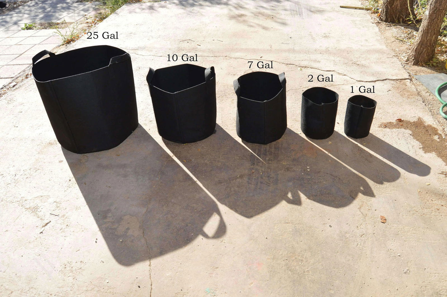 Five Bootstrap Farmer Grow Bags in black (sizes: 2, 5, 7, 10, and 50 gallons) are lined up on a concrete surface in sunlight from smallest to largest, each labeled with its gallon capacity.